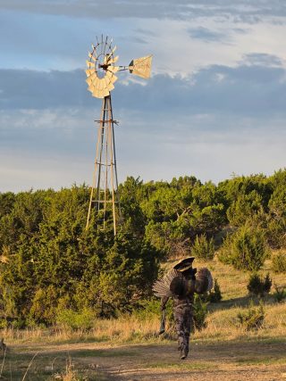 Hunter returning with a turkey in Sweetwater, Texas, near a vintage windmill on the ranch.