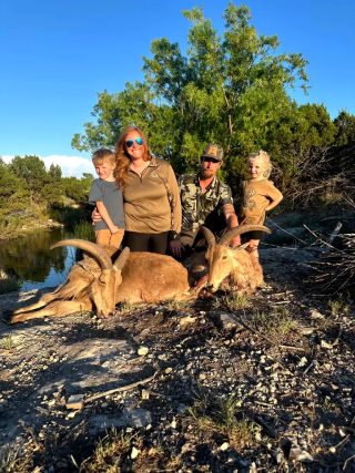 Hunters with two aoudad ewes taken at BarBell Ranch in Sweetwater, TX.