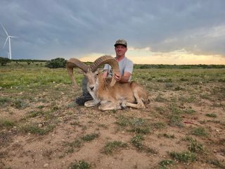 Hunter with trophy TCU Ram taken at BarBell Ranch in Sweetwater, TX, beneath an overcast sky.