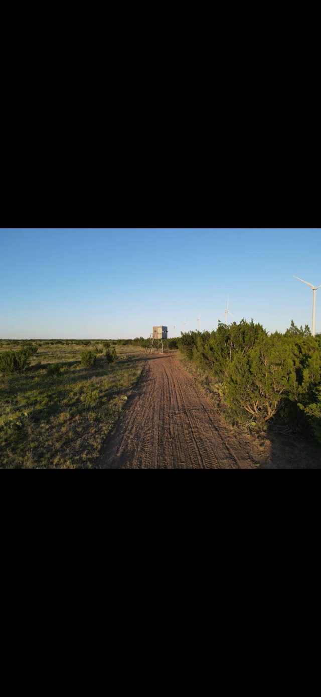 A box blind overlooks West Texas hunting land at BarBell Ranch in Sweetwater, TX.