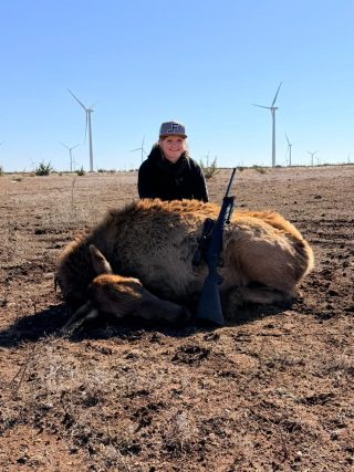 Hunter with a cow elk taken at BarBell Ranch in Sweetwater, TX.