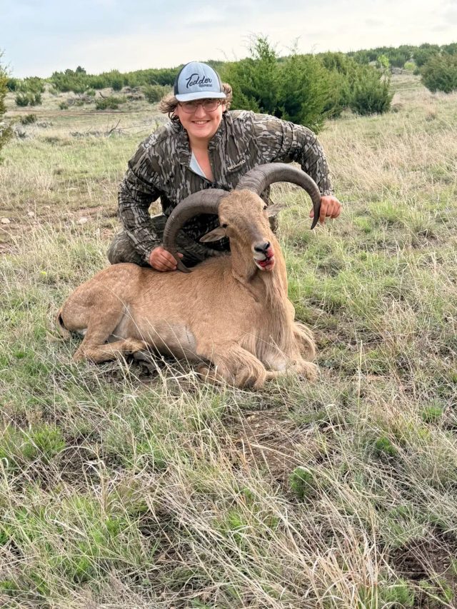 A hunter with her BarBell Ranch Aoudad Trophy in Sweetwater, TX.