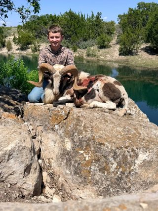 Hunter with a taken Desert Paint Ram at BarBell Ranch in Sweetwater, TX.