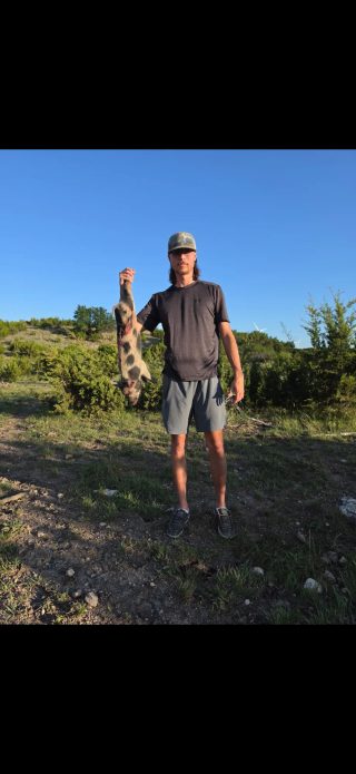 A hunter holds a wild pig at BarBell Ranch in Sweetwater, TX, beneath a clear blue sky.