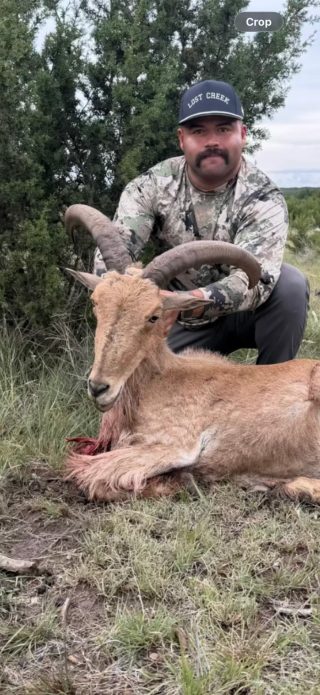 Hunter with an aoudad ewe taken at BarBell Ranch in Sweetwater, TX.
