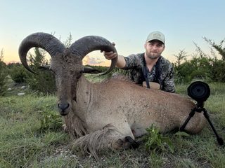 Hunter with an aoudad ram taken at BarBell Ranch in Sweetwater, TX.