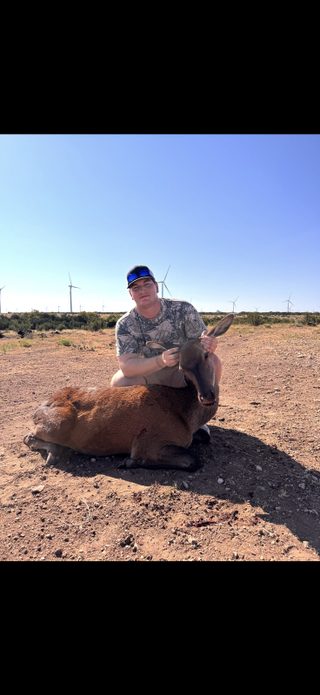 Hunter with a harvested Red Hind from BarBell Ranch in Sweetwater, TX.