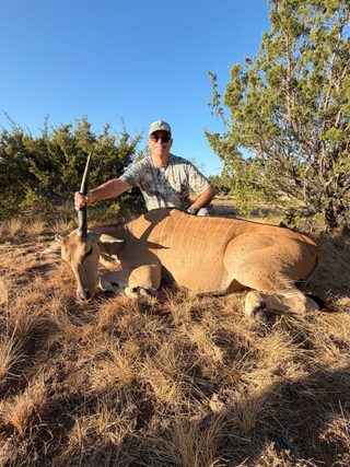 A hunter with a fine broken horn Eland taken at BarBell Ranch in Sweetwater, TX.