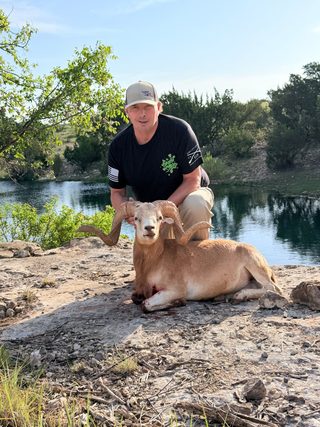 A hunter with a Texas Dall Sheep taken at BarBell Ranch in Sweetwater, TX.