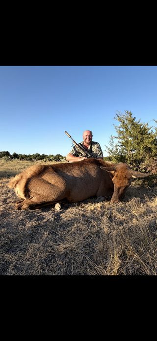A hunter with a successful cow elk taken at BarBell Ranch in Sweetwater, TX.